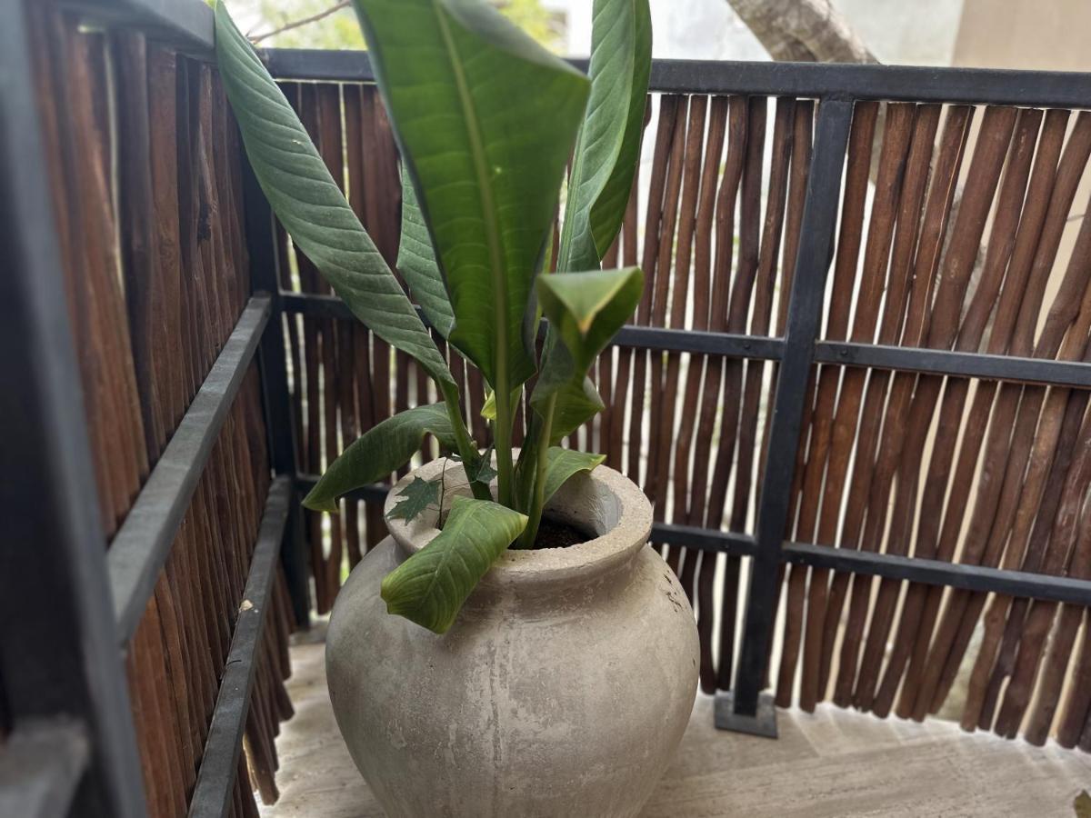 Ophelia Tulum Condo In Aldea Zama ภายนอก รูปภาพ