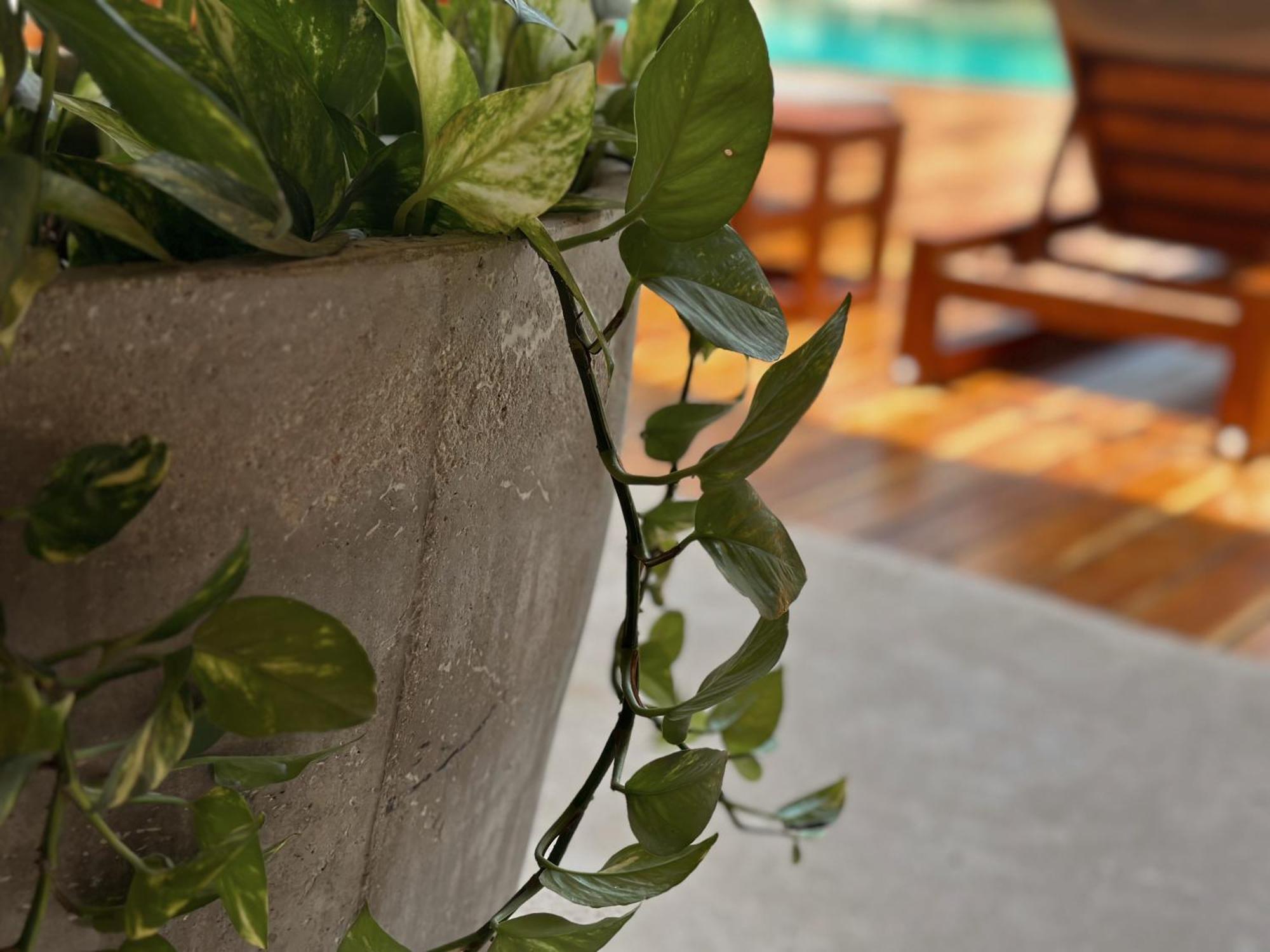 Ophelia Tulum Condo In Aldea Zama ภายนอก รูปภาพ