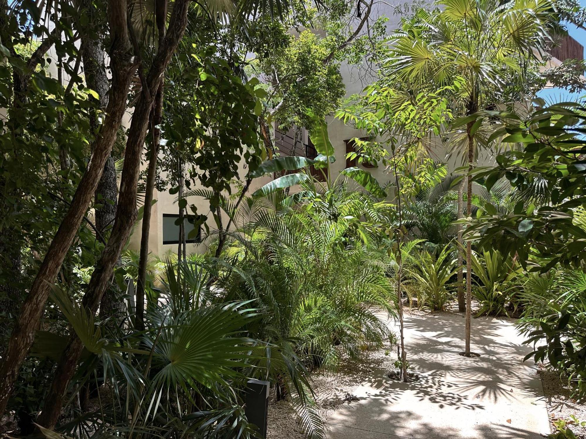 Ophelia Tulum Condo In Aldea Zama ภายนอก รูปภาพ