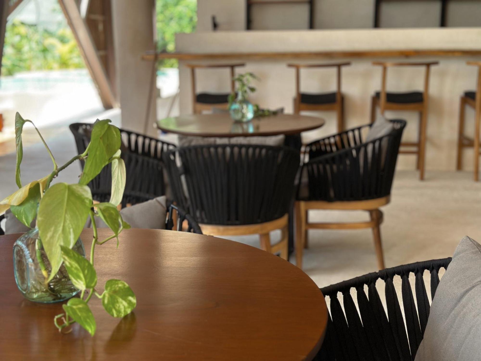 Ophelia Tulum Condo In Aldea Zama ภายนอก รูปภาพ