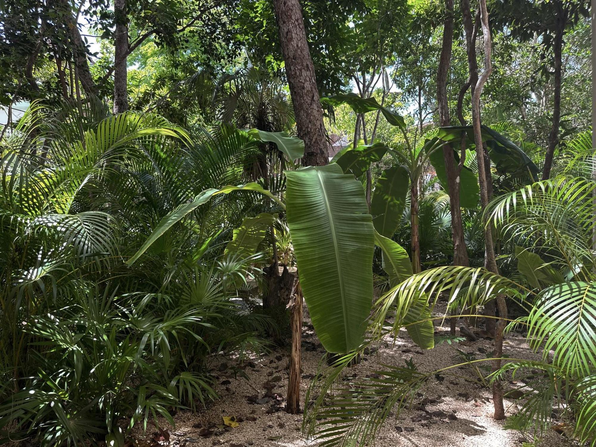 Ophelia Tulum Condo In Aldea Zama ภายนอก รูปภาพ